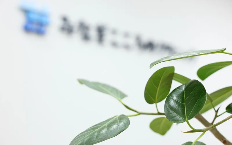 不安障害・パニック障害