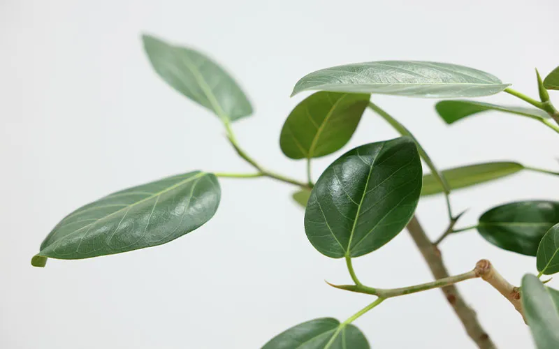 休職するにあたって