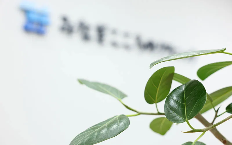 うつ病・気分の落ち込み